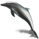 Τα δελφίνια