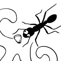 Λαβύρινθος μυρμήγκι